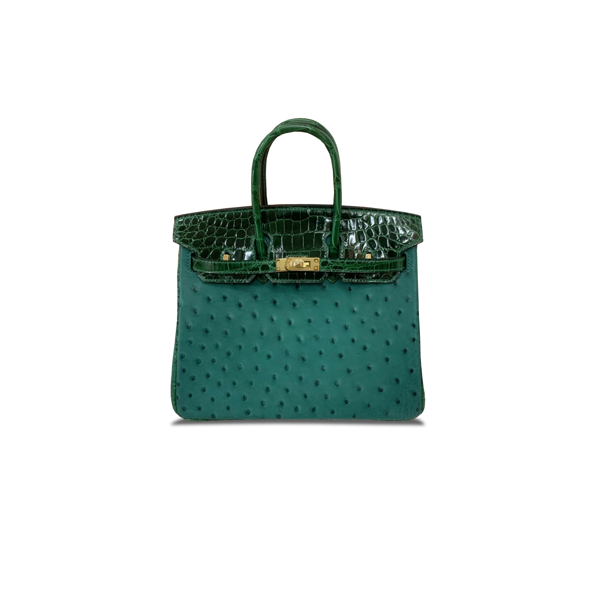 HERMÈS MASTER BIRKIN 25 OSTRICH LEATHER AND CROCODILE LEATHER VELVET GREEN GOLD BUCKLE H041944CK8K (25*20*13cm)